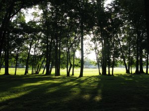 beautiful campsite, away from it all.