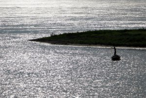 fishing on the mighty Mississippi