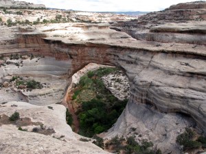 Natural Bridges National Monument.