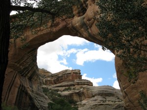 Looking up at the bridge.