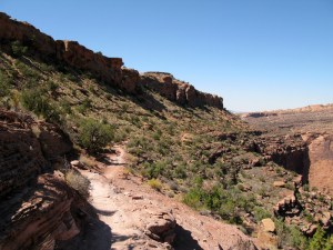 On the singletrack downhill back to town.