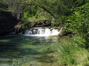 Clear blue water at Fossil Creek.