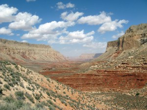 Havasu canyon.