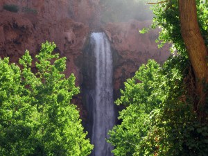 Mooney in the morning light.